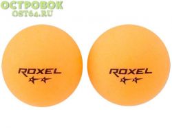 Производитель:Roxel<br />
Уровень игры: тренировочный<br />
Диаметр: 40 мм<br />
Материал: ABS<br />
Количество: 6 шт.<br />
Цвет: оранжевый
